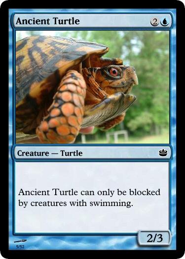 Ancient Turtle
